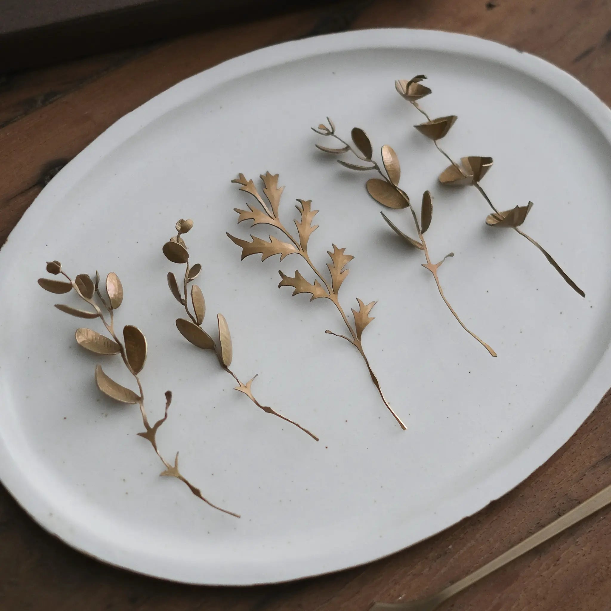 植物標本｜小枝のオブジェ｜真鍮｜カトラリー作家 樫原ヒロ【コノヒノ