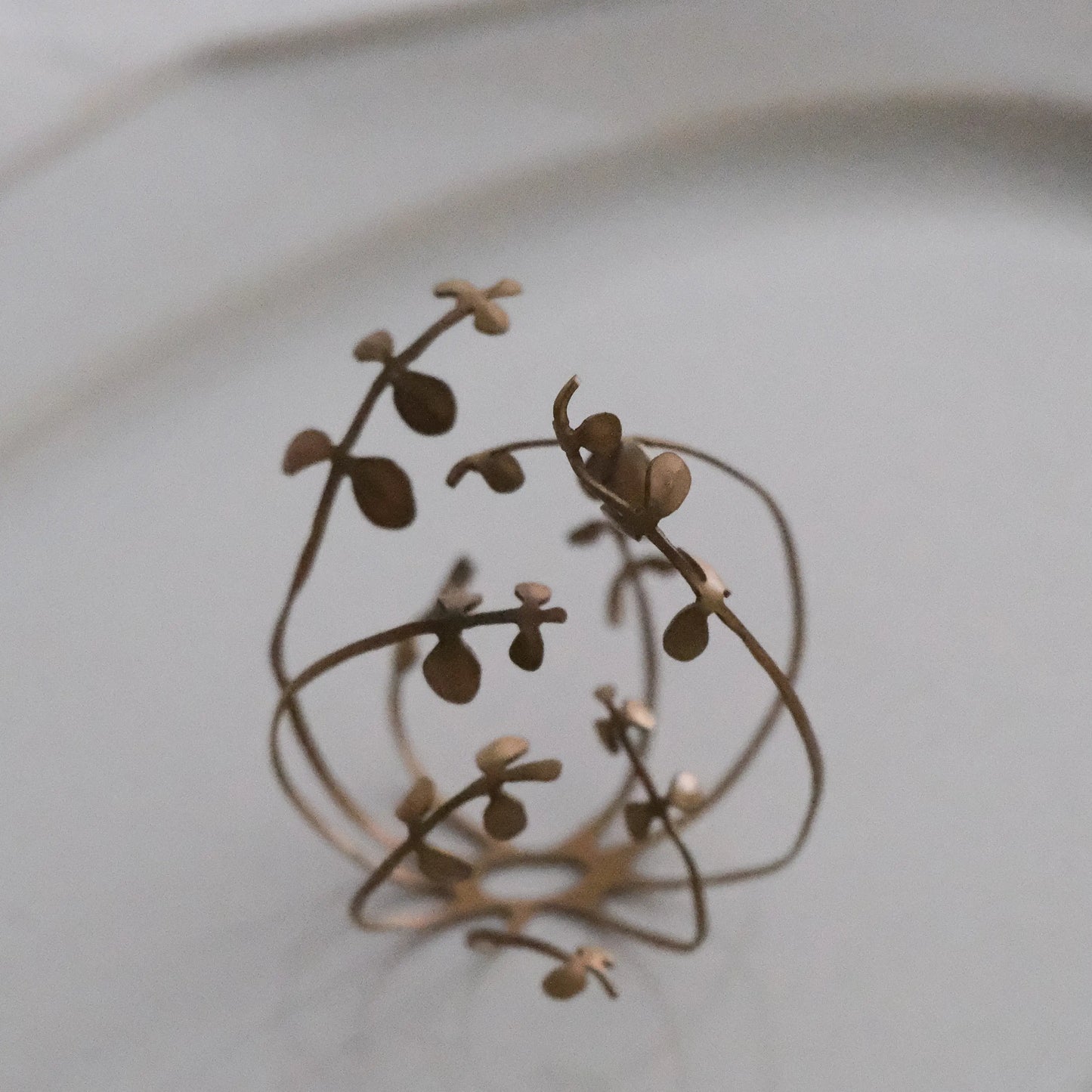 雑草のオブジェ