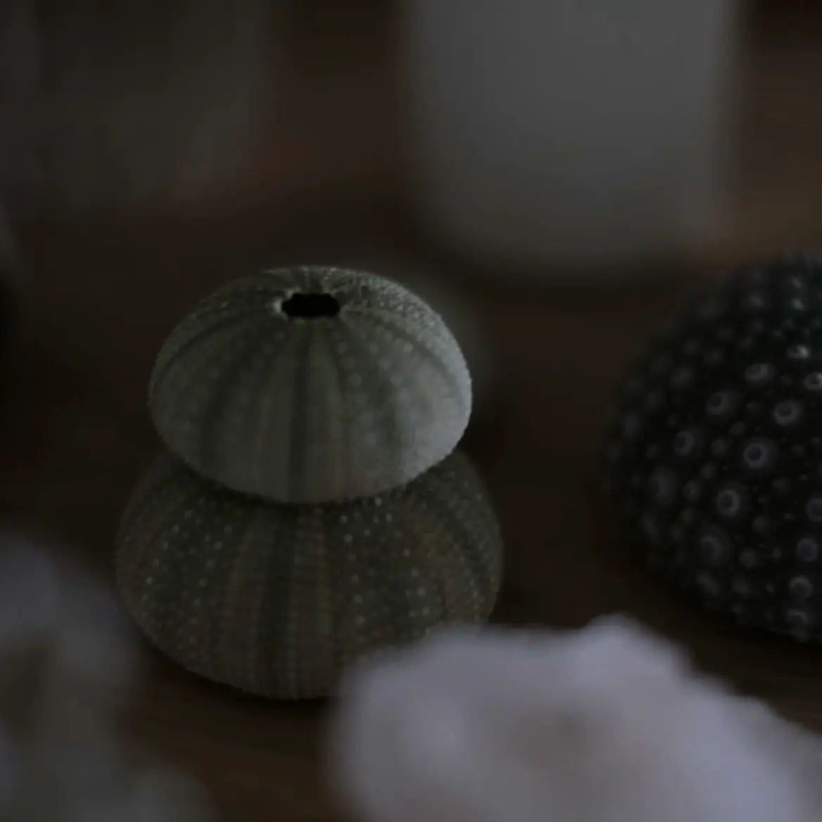 造形家・カトラリー作家の作業台にあるものたち