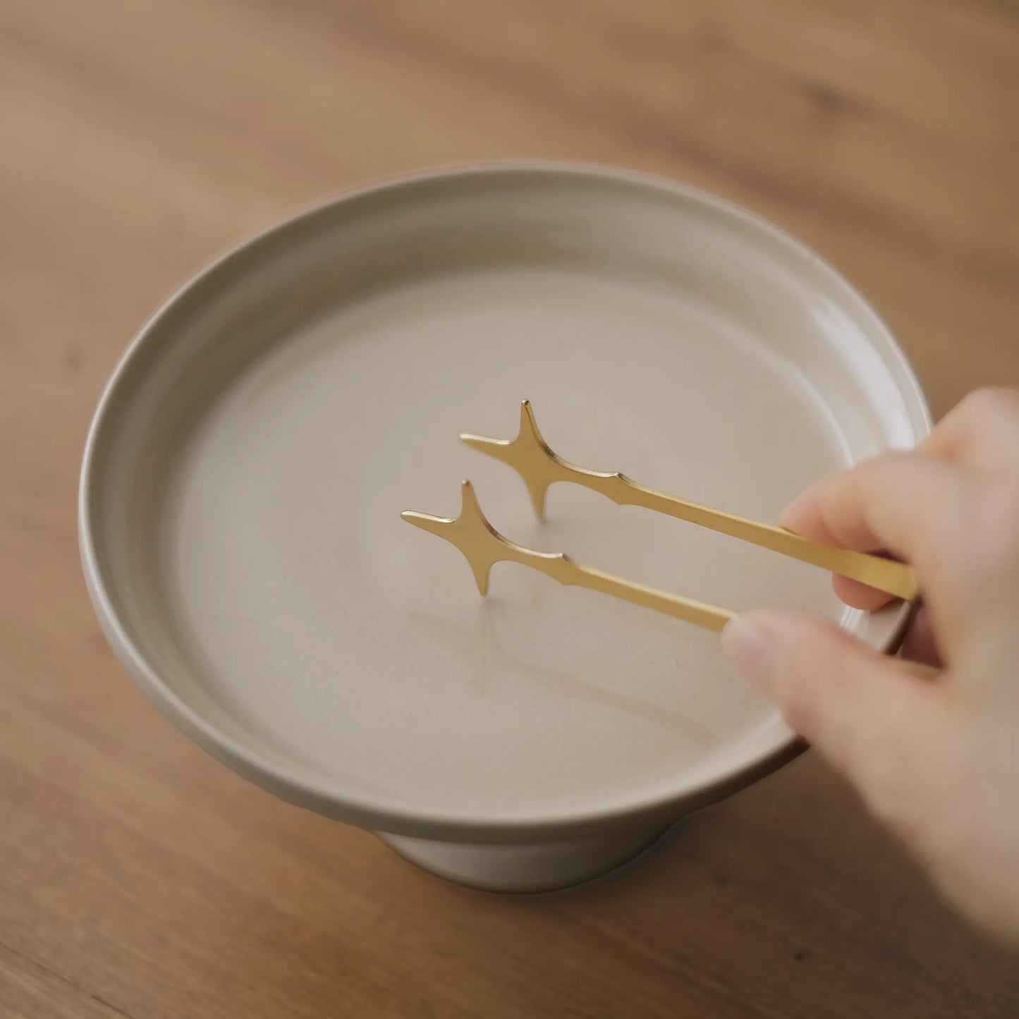 
                  
                    双子彗星のミニトング
                  
                