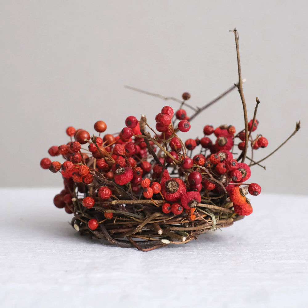 
                  
                    クロモジとバラの実のリース (M)
                  
                