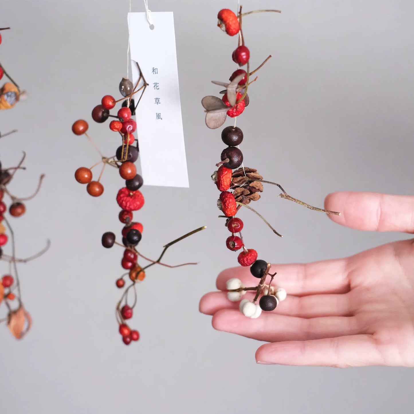 
                  
                    木の実のガーランド B (3本セット)
                  
                