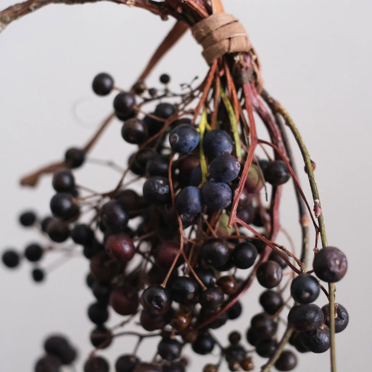 
                  
                    黒い実のスワッグ(山葡萄蔓)
                  
                