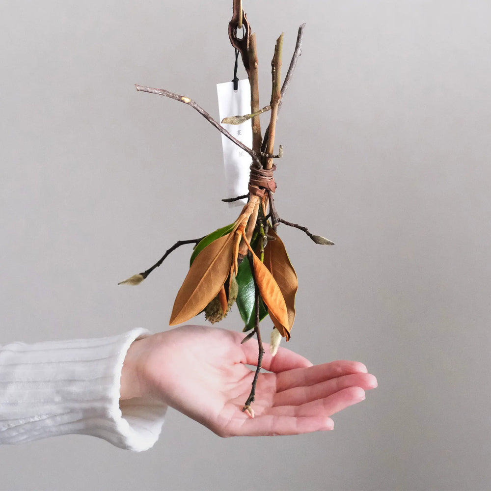 
                  
                    マグノリアのスワッグ B (山葡萄蔓)
                  
                