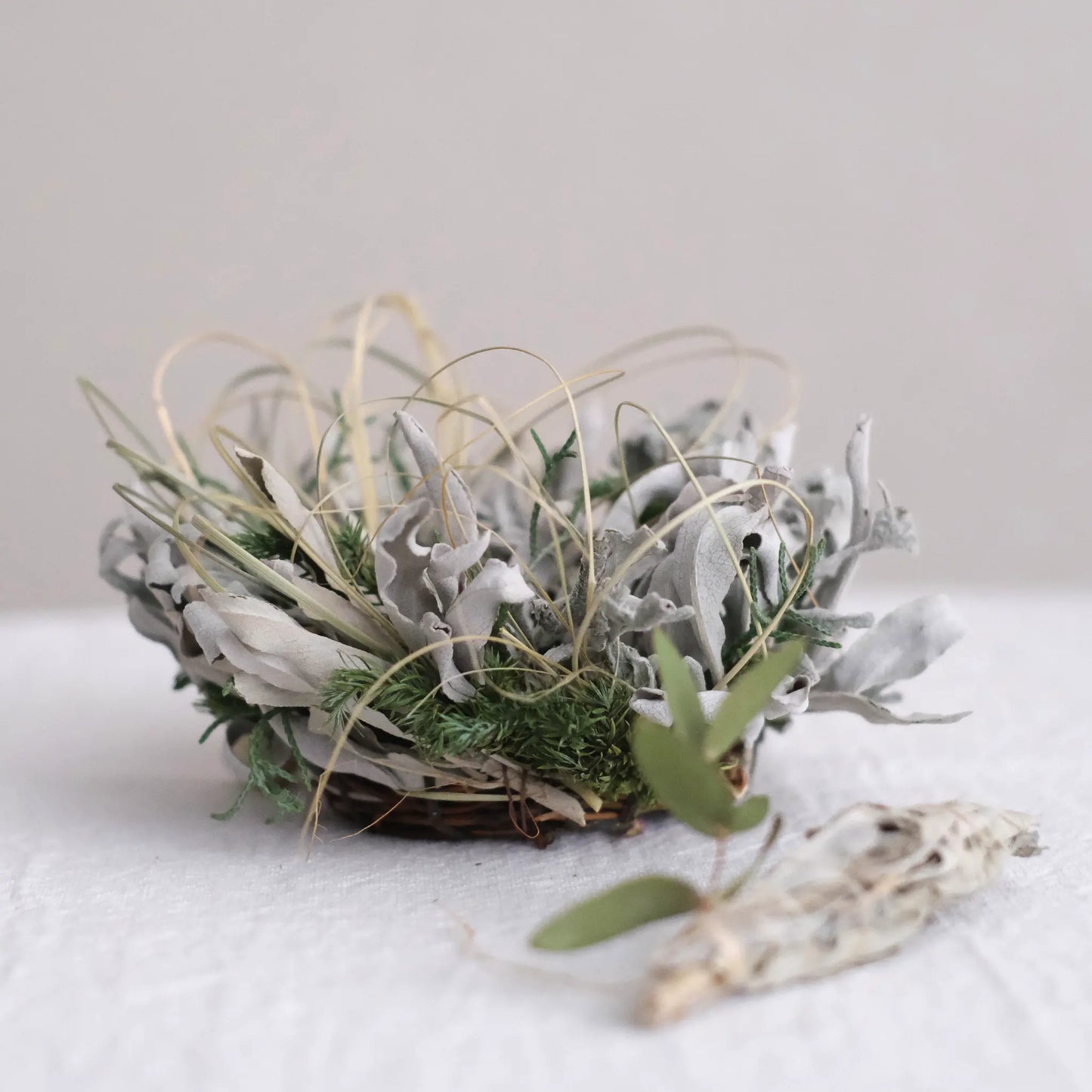 
                  
                    ホワイトセージのリース (バンドル付)
                  
                