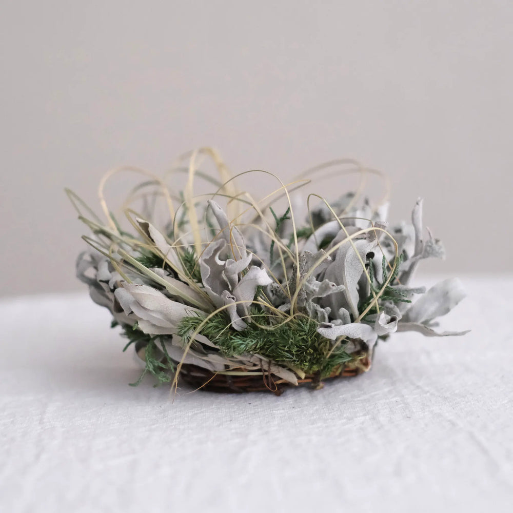 
                  
                    ホワイトセージのリース (バンドル付)
                  
                