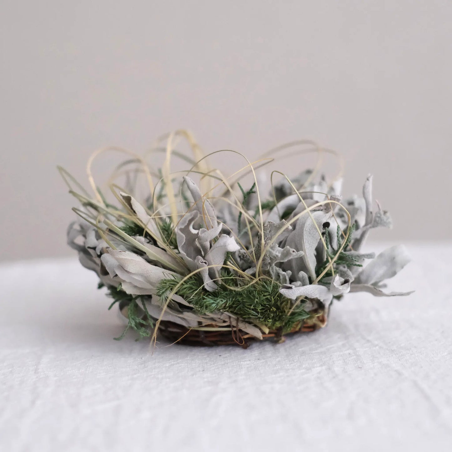 
                  
                    ホワイトセージのリース (バンドル付)
                  
                