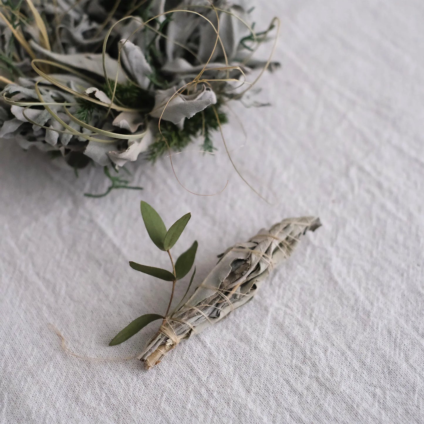 
                  
                    ホワイトセージのリース (バンドル付)
                  
                