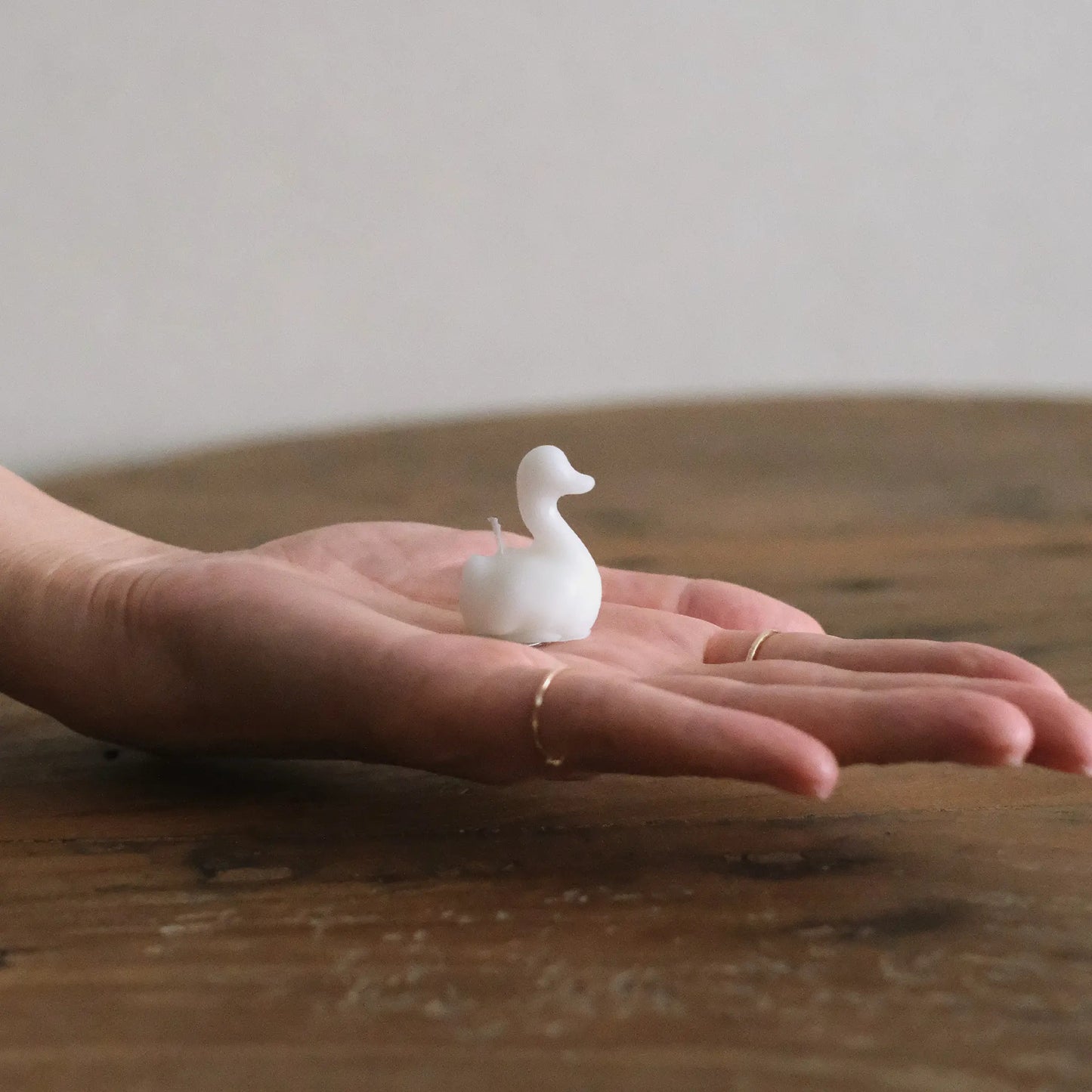 
                  
                    ミニスワン蝋燭 5個入り
                  
                