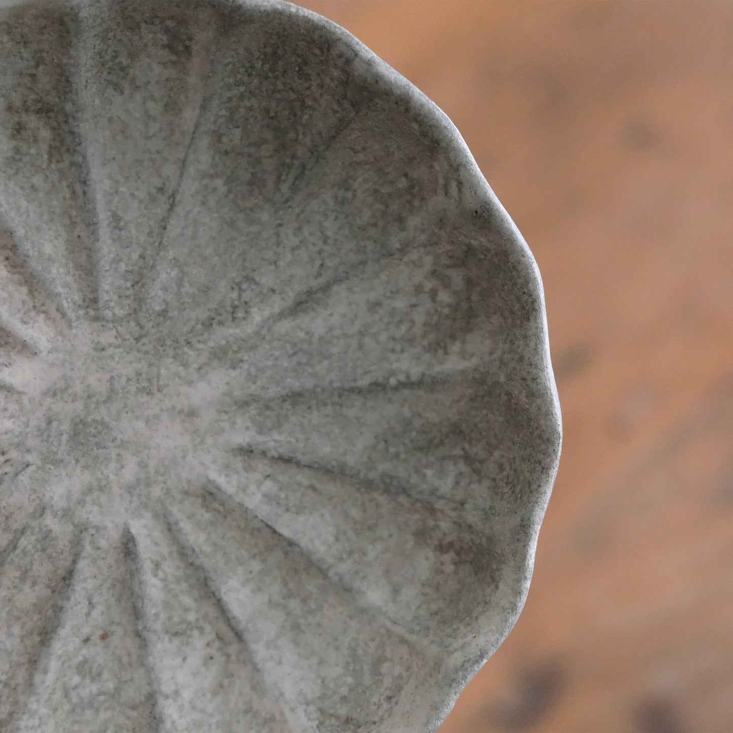 
                  
                    floral rim plate
                  
                